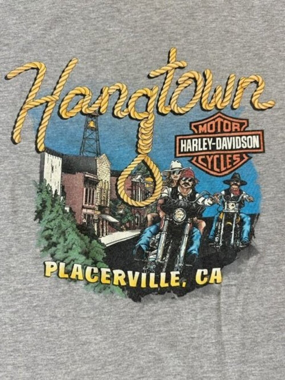 Harley-Davidson Placerville CA Hangtown Graphic T-Shirt XL Gray 100% Cotton - Picture 3 of 5